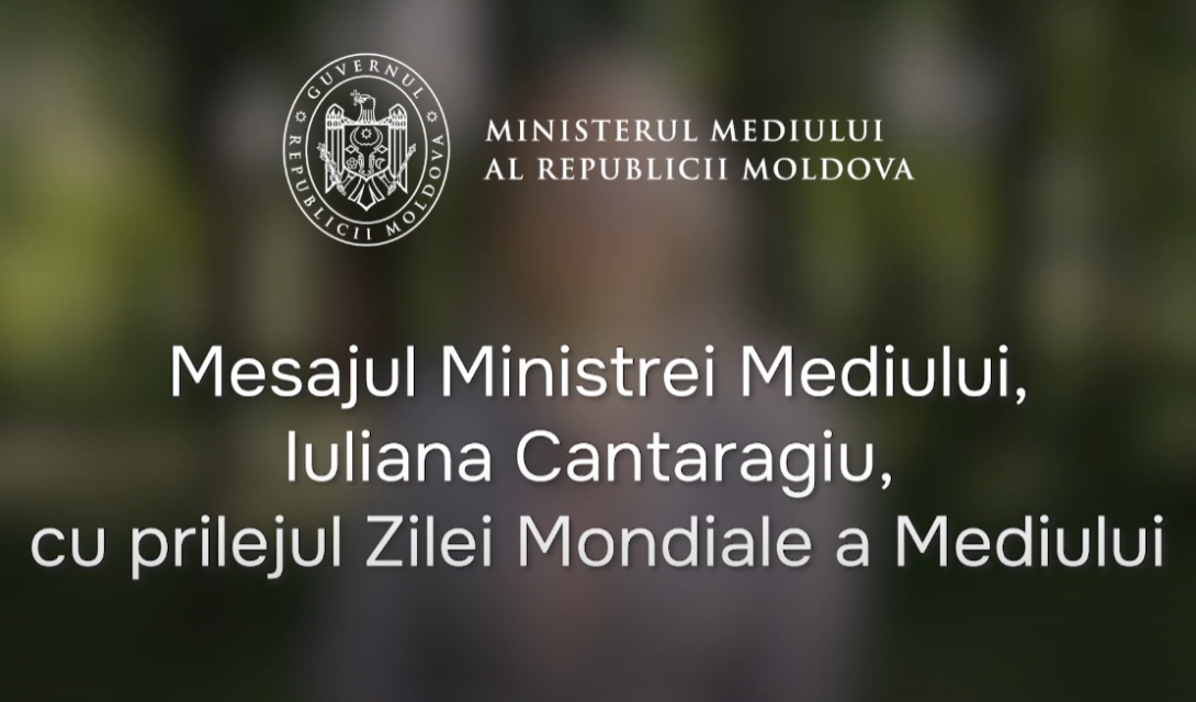 Mesaj